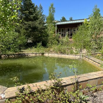 Schule im Freien 2022 - Teil 5