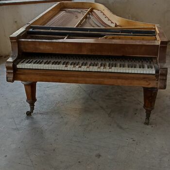 grand piano piano keyboard instrument stringed instrument percussion instrument musical instrument harpsichord clavier music grand piano piano keyboard instrument stringed instrument percussion instrument musical instrument harpsichord clavier music