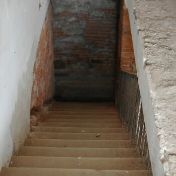 step support device architecture