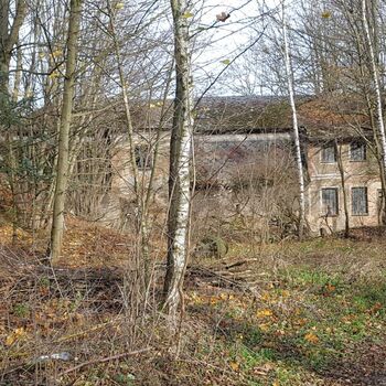 Urbex - Mühle bei V.......🐺🐺🐺🐺🐺🐺 Urbex - Mühle bei V.......🐺🐺🐺🐺🐺🐺