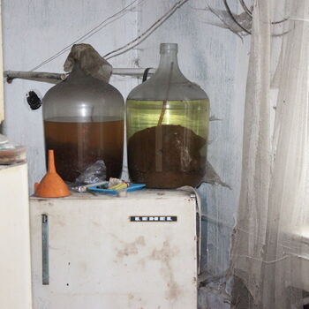 Opuštěný venkovský statek.