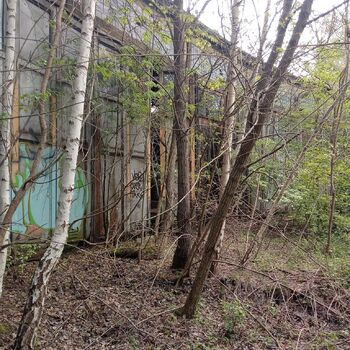 Railway depot in the middle of the "forest" 2024