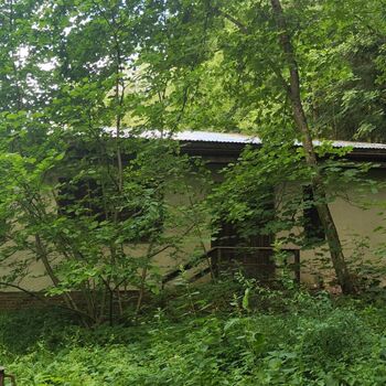 Schule in der Natur_2025