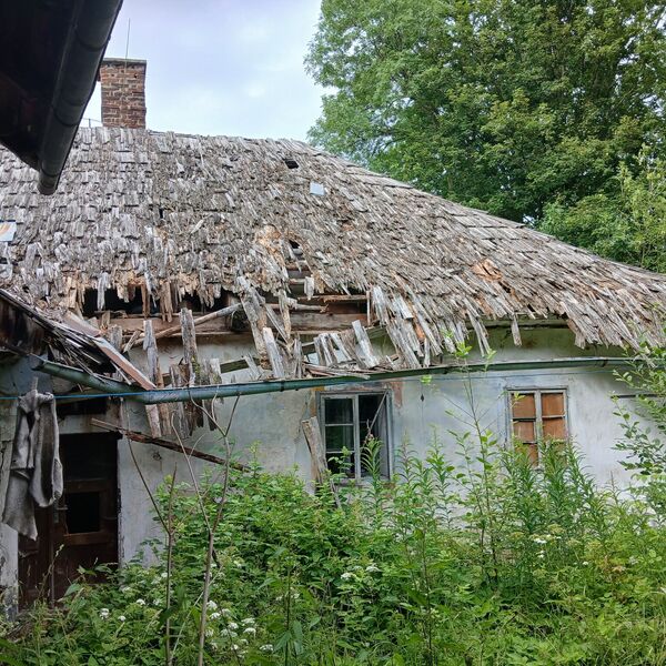 Mill in the foothills