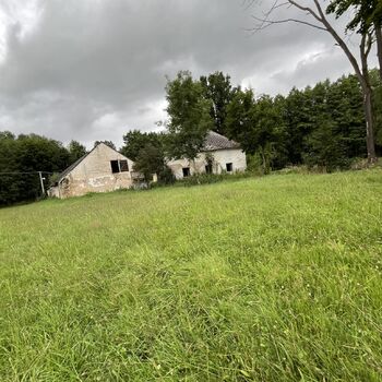 Abandoned Farmer's house