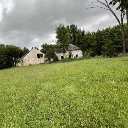 Abandoned Farmer's house