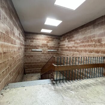 Schule im Freien 2022 - Teil 4 Schule im Freien 2022 - Teil 4