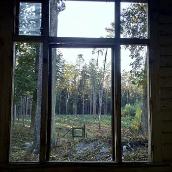 window window screen screen door windowsill window window screen screen door windowsill