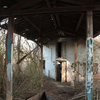 Schweinehüter Schweinehüter