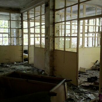 greenhouse building structure