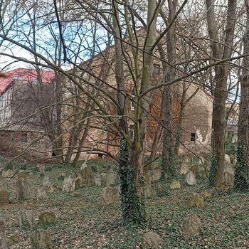 Jüdischer Friedhof 2024