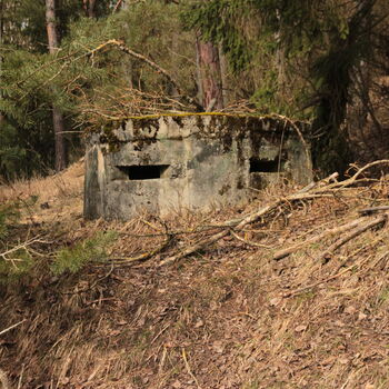 Maple 52 with swimming pool