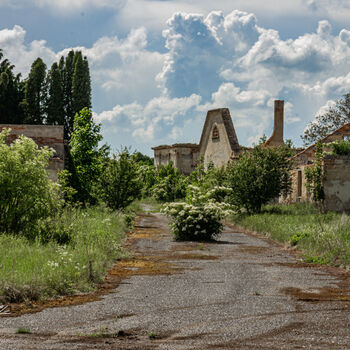 Landwirtschaftliche Fläche