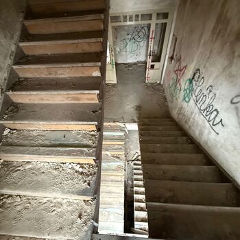 Aunt Omega, or I Believe in Fairies