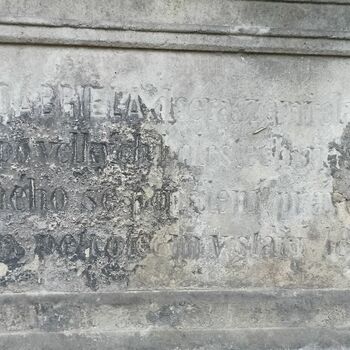Friedhof 2022 Friedhof 2022