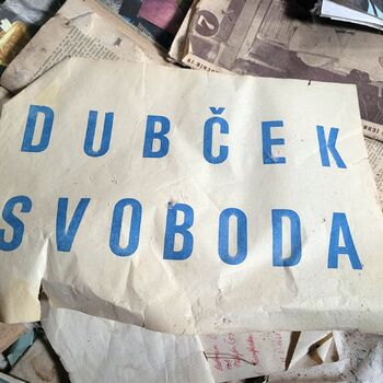 🏡Domeček v lázeňské oblasti je už dlouho opuštěný.