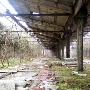 skleníkové budova struktura