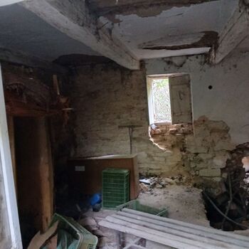 Homestead with a pond