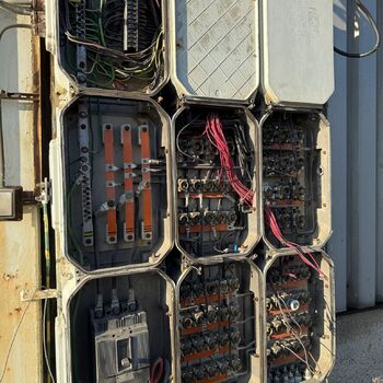 hory, DOLY, černý pes