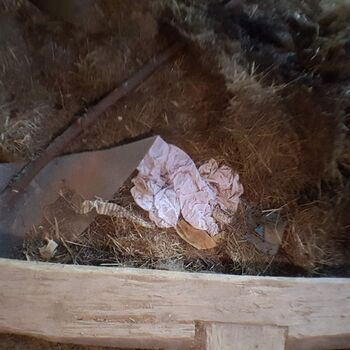 Urbex - 2022 Šumava - Vražedná p......