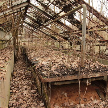 Gartenarbeit ab 1940