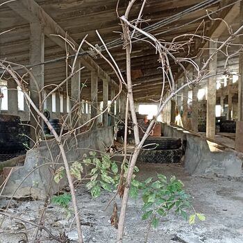 Kravin 2022 Kravin 2022