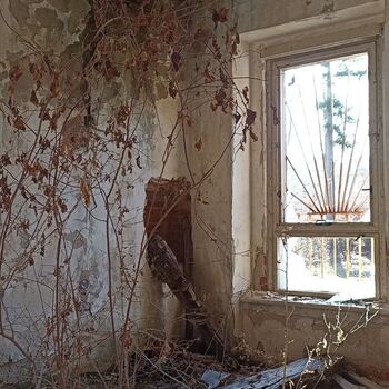 Lung Sanatorium 2024