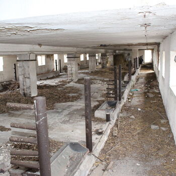 Opuštěný venkovský statek.