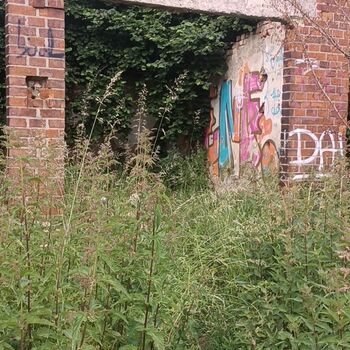 Olomouc - Zřícenina budovy (můj 3. urbex) Olomouc - Zřícenina budovy (můj 3. urbex)