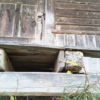 Vechtrovny - Koukni na video..