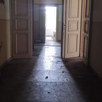 Mystery in Germany 🤫