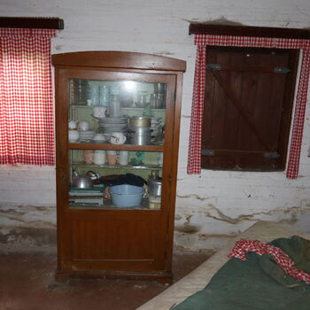 A grove in the borderlands.