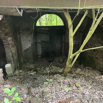 Ruiny zámku Polsko 2025