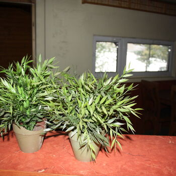 Kdo tady vařil? Opuštěná restaurace