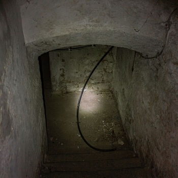 Landwirtschaftliche Fläche