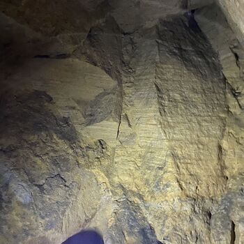 Dole v šachtě? Dole v šachtě?