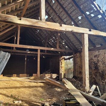 🐕‍🦺POZOR BAD DOG