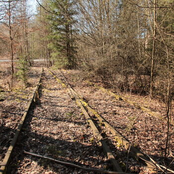 Mladotické zhlaví v Trojanech Mladotické zhlaví v Trojanech