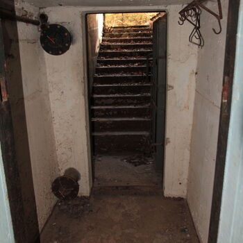 VEGA Group VEGA Group