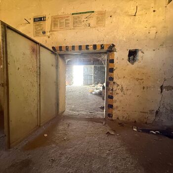 hory, DOLY, černý pes