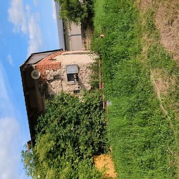 Where the wind goes to sleep 3