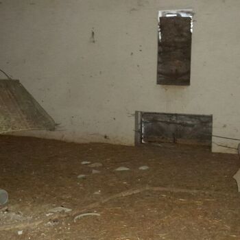 Pheasantries Pheasantries