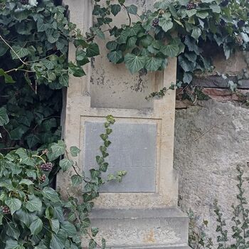 Friedhof 2022 Friedhof 2022