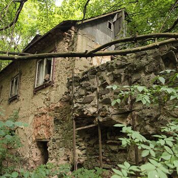 Mill from Snake river