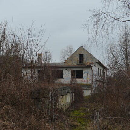 Wine bar/discotheque at Veverek