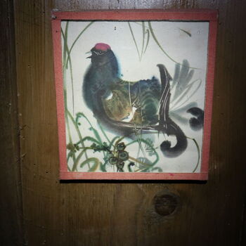 A grove in the borderlands.