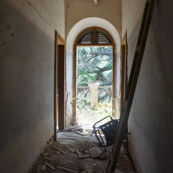 Architektura Buňka budova