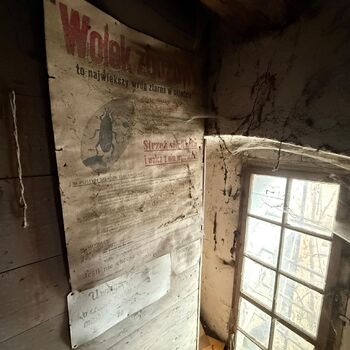 DDT, or the crocodile wasn't home