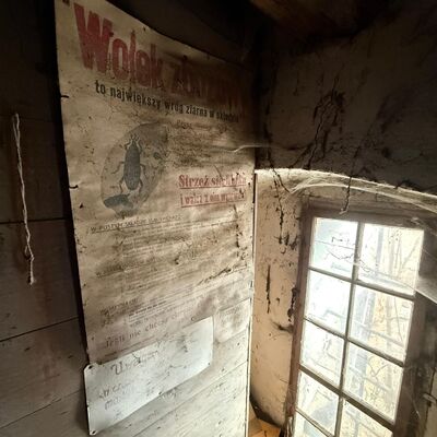 DDT, or the crocodile wasn't home