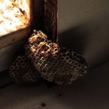 Umkleideraum und Stallungen